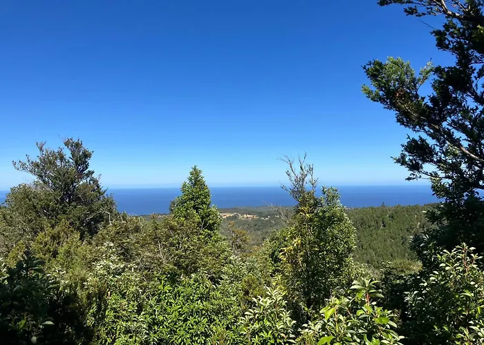 Cabana Vida En Oncol