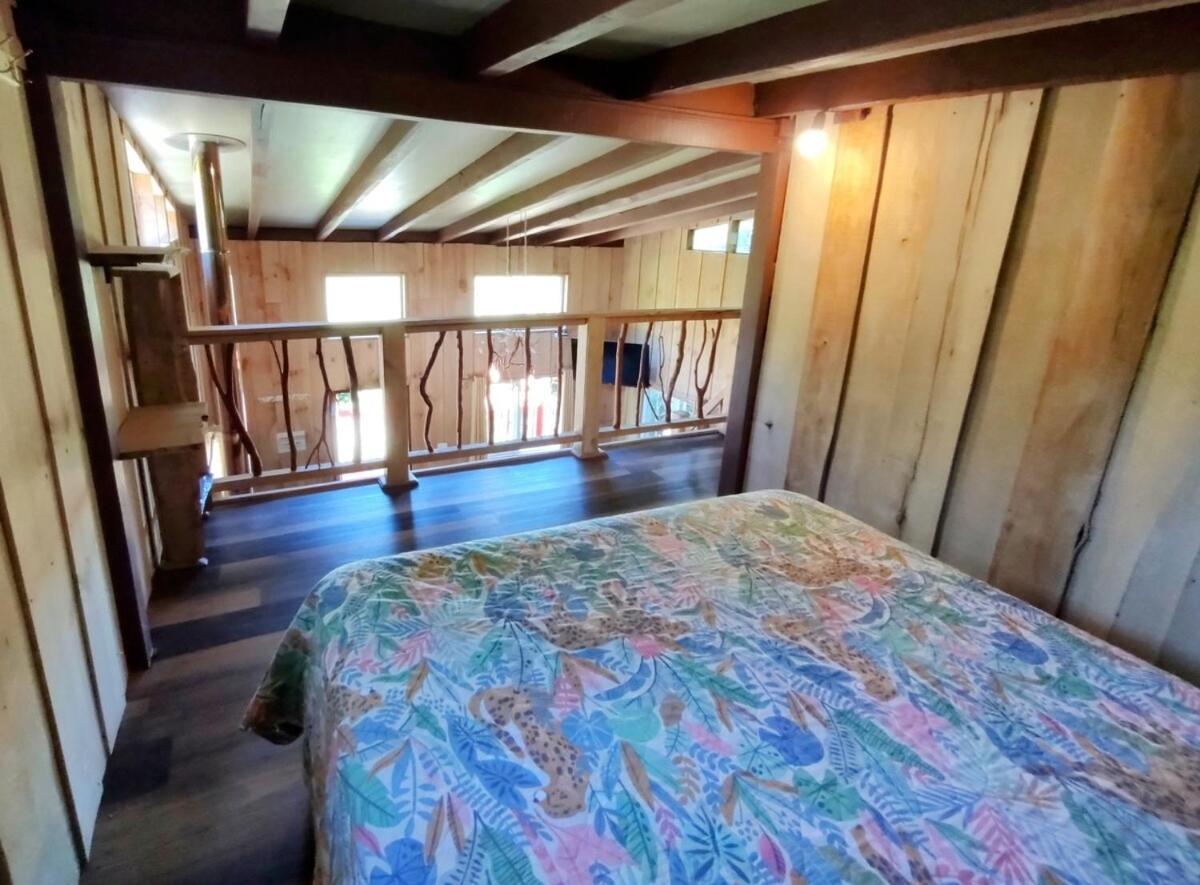Vida En Oncol Chalet